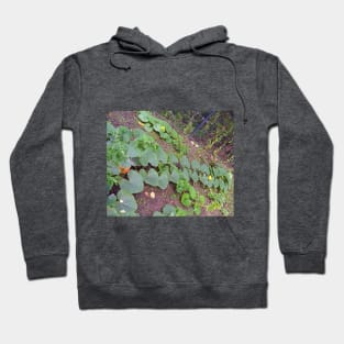 Pumpkin Blossom Foliage & Fruit Hoodie